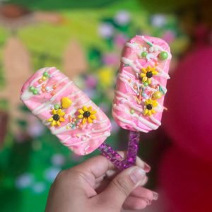 Paletas de Chocolate